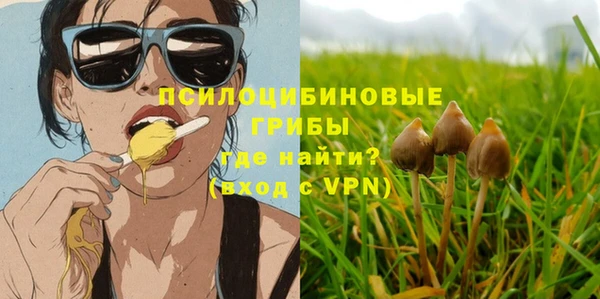 бутират Бородино