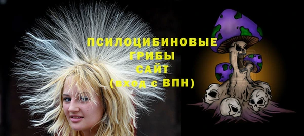 MDMA Premium VHQ Бронницы
